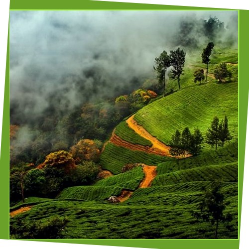 munnar-package