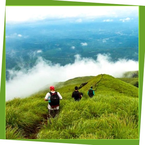 wayanad-package