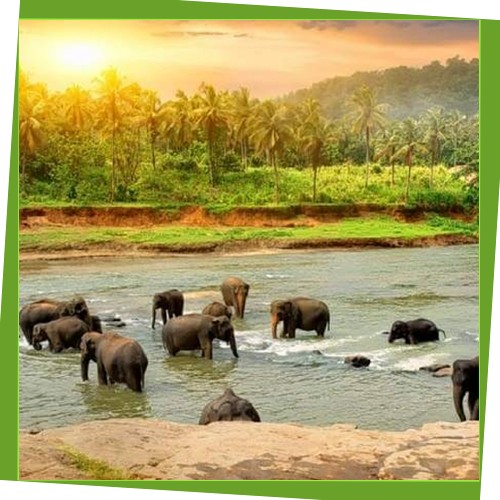 thekkady-package